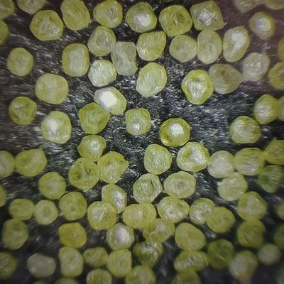Industriële synthetische diamant micron stof diamantpoeder met 30-daagse terugbetaling
