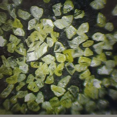Kunstmatige diamantclassificatie Synthetisch diamantpoeder voor het maken van diamantsegmenten