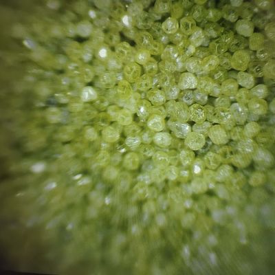 Industriële Rvd synthetisch diamantpoeder voor de efficiëntie van de vervaardiging van diamantgereedschappen