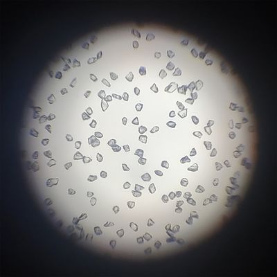 Poleren van juwelen tot perfectie met Mbd synthetisch diamantpoeder superhard materiaal